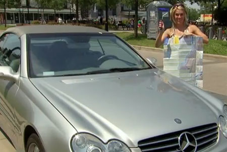 السيدة والدهان