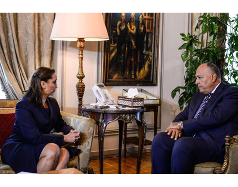 الخارجية المكسيكية تطالب مصر بتحقيق شفاف بمقتل سياحها الخارجية المكسيكية تطالب مصر بتحقيق شفاف بمقتل سياحها