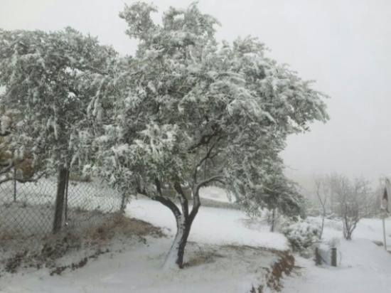 المملكة على موعد مع الثلوج اليوم