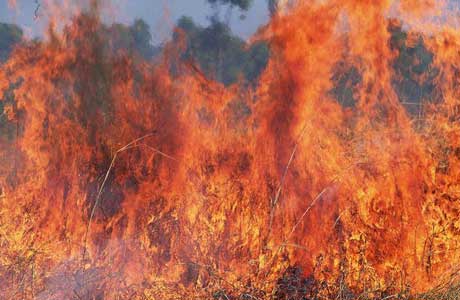 وزارة " تحفة" ! 