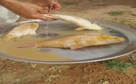 فيديو يكشف حالة نادرة تشهدها العاصمة الرياض