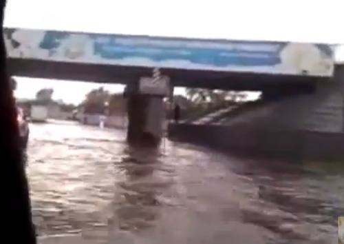 كلب ينقذ رجلا معاقا من الفياضانات في روسيا