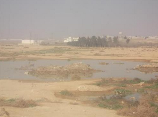 الضليل: 50 الف متر مكعب مياه عادمة يوميا تحيل الحياة جحيما