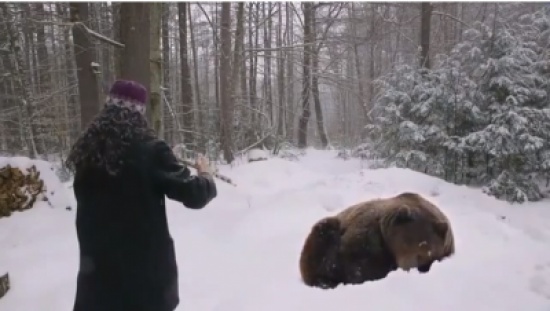 دب ينام على "صوت الناي" !!