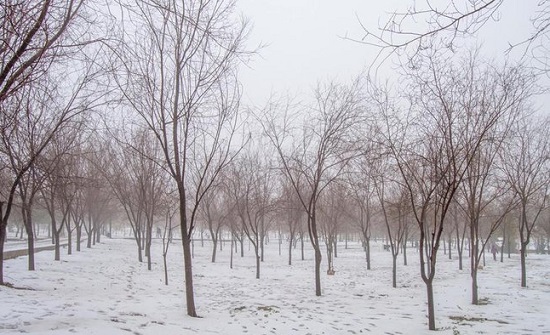 هل يُعد غياب الأمطار الحالي عن المملكة أمراً طبيعياً ؟