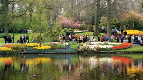 هولندا تبلغ أرملة بريطانية بمكان دفن زوجها بعد 67 سنة من وفاته