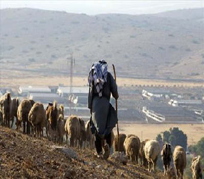 مربو الماشية بالطفيلة يطالبون بصيانة آبار مشروع الجفاف مربو الماشية بالطفيلة يطالبون بصيانة آبار مشروع الجفاف