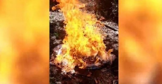 فتاة تحرق فستان زفافها ردا على خيانة خطيبها فتاة تحرق فستان زفافها ردا على خيانة خطيبها