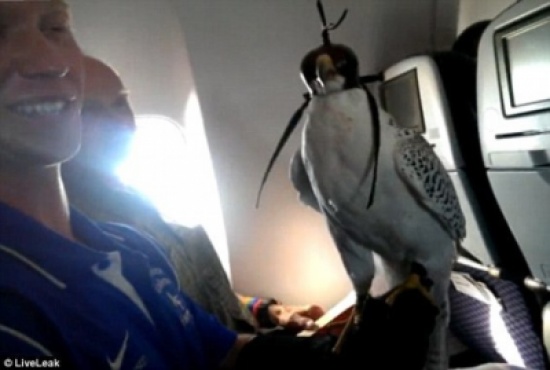 بالصور: أشياء لم تكن تعرف أنها مسموحة على متن الطائرات