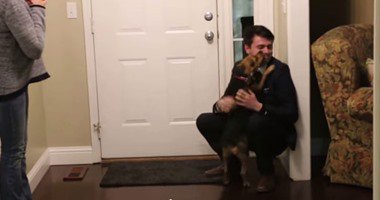 شاهد.. كلب يقفز من الفرحة لرؤية صاحبه بعد عامين