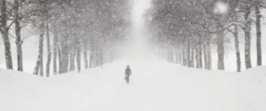 تخلوا عنها فماتت "برداً" على بعد 7645 كلم من بيتها.. إليك قصتها