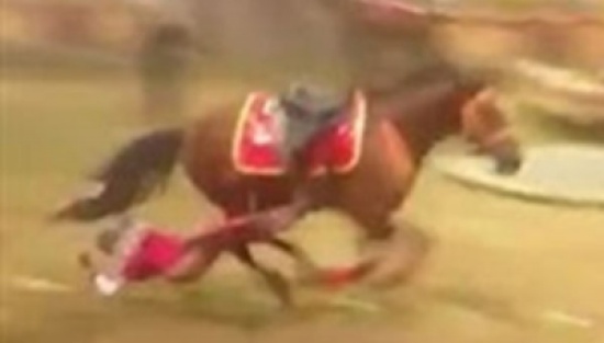 شاهد.. حصان يسحل لاعبة سيرك حتى الموت