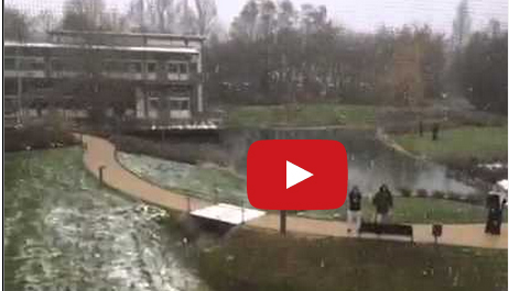 شاهد ما فعله أبناء خليجيين أمام نافذة والدهم في المستشفى