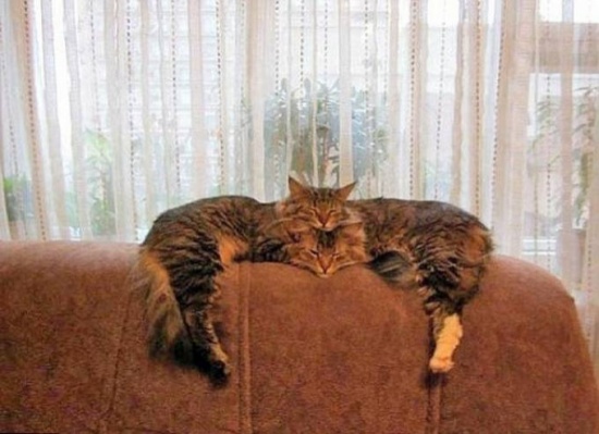 هذه الصور أشعلت الإنترنت بسبب شيء غريب فيها!