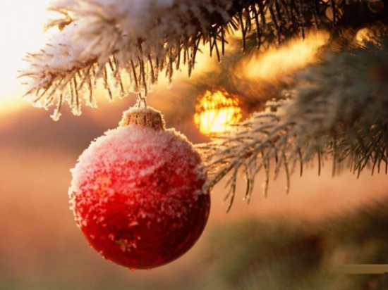 الطوائف المسيحية فى الكرك تحتفل بأعياد الميلاد المجيد ورأس السنة