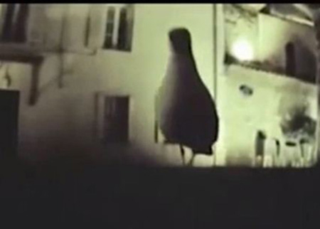 طائر يسرق كاميرا ويطير بها