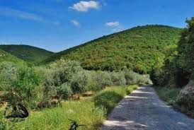 دورة تصوير فوتوغرافي في عجلون