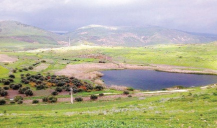 عقد دورة اصدقاء شرطة في مركز شباب حرثا عقد دورة اصدقاء شرطة في مركز شباب حرثا