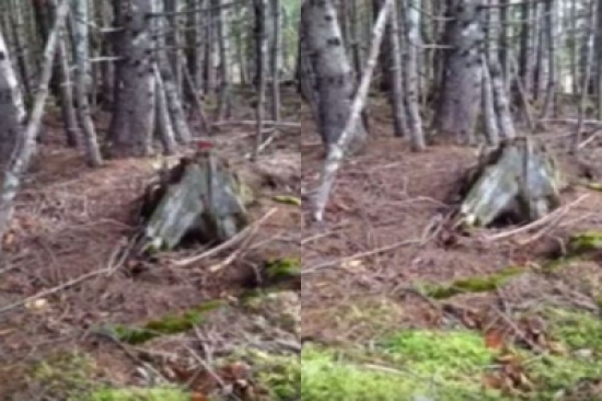 شاهد.. الأرض تتنفس في كندا