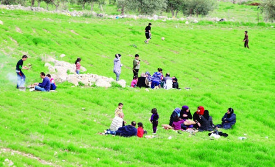 الجمعة : أجواء ربيعية دافئة الجمعة : أجواء ربيعية دافئة