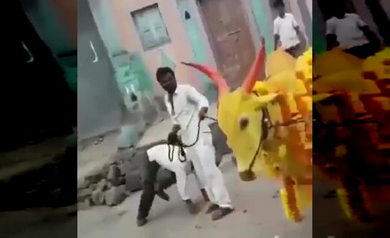 بالفيديو : رقصة تغضب «ثور» وتدفعه لنطح صاحبه بالفيديو : رقصة تغضب «ثور» وتدفعه لنطح صاحبه