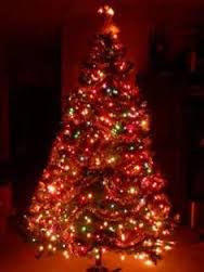 الاحتفال بإضاءة اطول شجرة عيد ميلاد طبيعية في الحصن