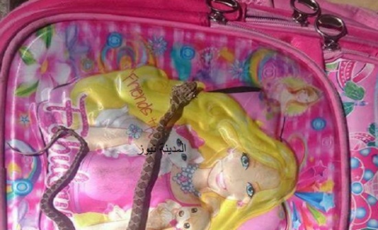 بالصور / لن تصدقوا ... طالبة أردنية تحمل في حقيبتها كتباً مدرسية وافعى