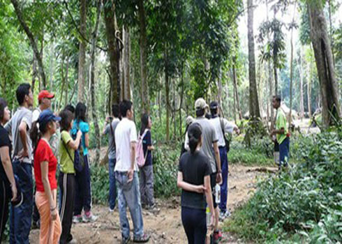 تقرير: البرازيل تحرز تقدما فى الحفاظ على الغابات