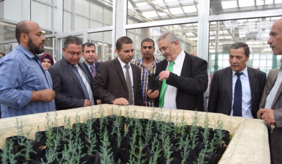 رئيس الجامعة الهاشمية يعلن عن إنشاء بيت زجاجي متطور لإنتاج الغراس رئيس الجامعة الهاشمية يعلن عن إنشاء بيت زجاجي متطور لإنتاج الغراس