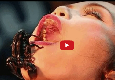 بالفيديو  :  10 سموم قاتلة يمكن أن تنقذ حياتك !