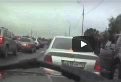 شاهد كيف أنهى كلب مشاجرة قبل أن تبدأ