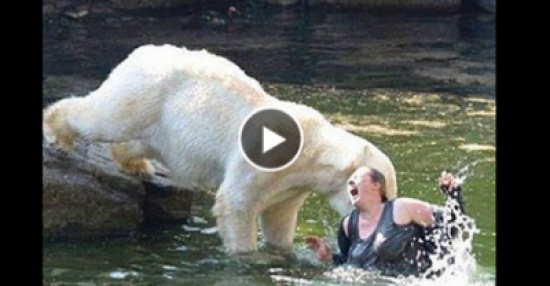 فيديو| لقطات مرعبة لهجوم الحيوانات على الإنسان