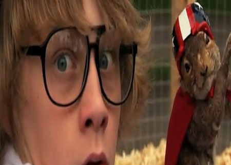 السنجاب الطائر