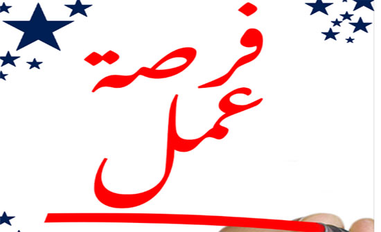 "العمل": 3300 فرصة عمل جديدة بالمحافظات .. تفاصيل