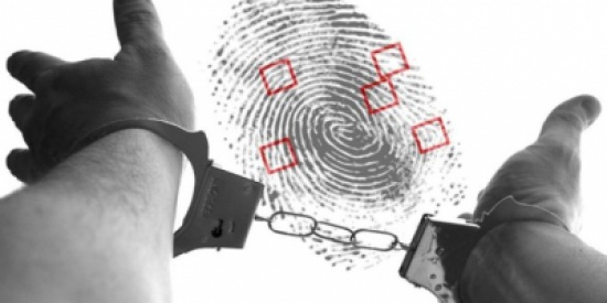 ازدياد الوعي المجتمعي من اسباب انخفاض الجريمة في الاردن ازدياد الوعي المجتمعي من اسباب انخفاض الجريمة في الاردن