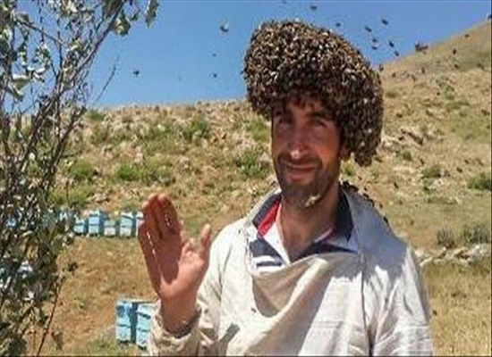 بالفيديو والصور: تركي يغطي نفسه بالنحل لدخول موسوعة "غينس" بالفيديو والصور: تركي يغطي نفسه بالنحل لدخول موسوعة "غينس"
