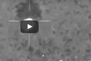 بالفيديو.. كلب يحرس صاحبه العالق في الطين 7 ساعات