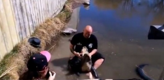 حاول الاستعراض أمام صديقته شاهد ماذا حصل