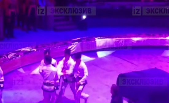 بالفيديو :  حاول تحقيق رقم قياسي فكسر رقبته.. مشاهد مؤلمة للاعب جمباز