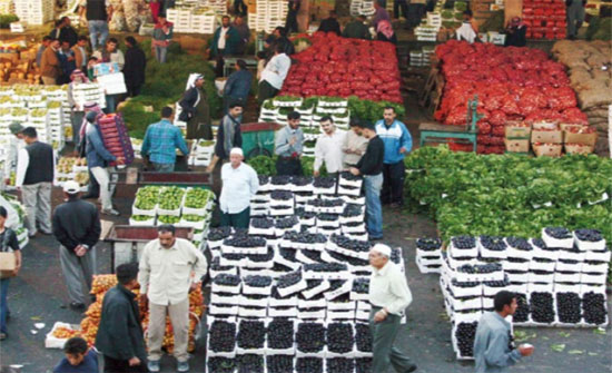انخفاض اسعار الخضروات في سوق العارضة انخفاض اسعار الخضروات في سوق العارضة