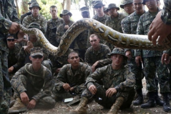 شاهد: المارينز الأمريكي يتعلمون الحياة في أدغال الفلبين