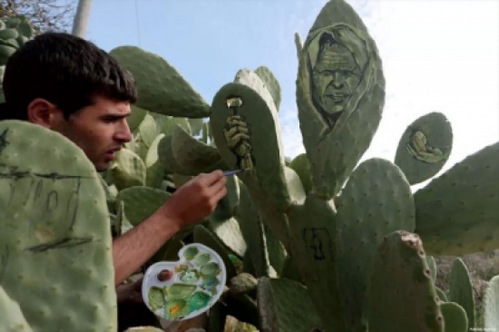 صور: فنان فلسطيني يجسد معاناة بلده بالرسم على الصبار