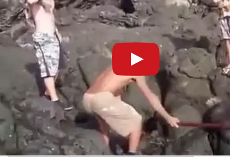 بالفيديو شاب يصطاد سمكة كبيرة بالرمح فقط !