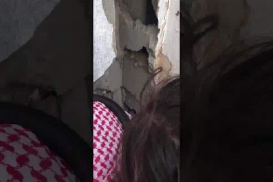 شاهد.. يكسر جداراً بمنزله لإنقاذ قطة صغيرة ظلت محتجزة بداخله 3 أيام