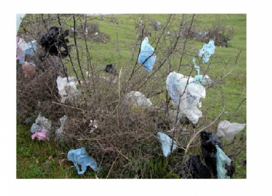 لماذا لم يطبق منع الاكياس البلاستيكية في الأردن ؟