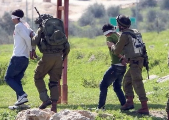 إسرائيل تعتقل 13 فلسطينيًا