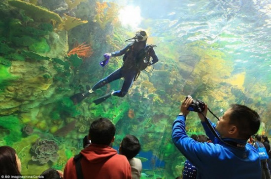 بالصور.. أكبر حوض سمك في العالم بتكلفة 806.5 مليون دولار