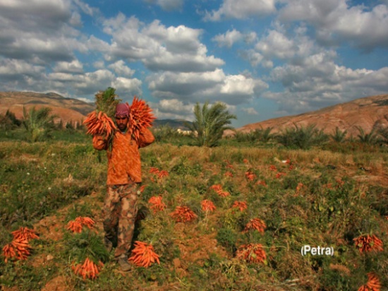 الفائزون في التصوير المهرجان الأردني العربي