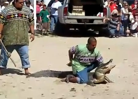 شاب يلعب مع التمساح