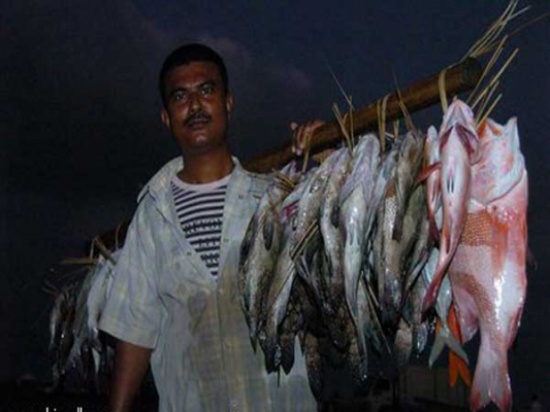 الأردنيون محرومون من السمك اليمني ... الأردنيون محرومون من السمك اليمني ...